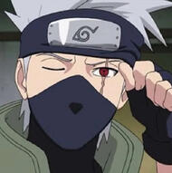 kakashi hatake / naruto